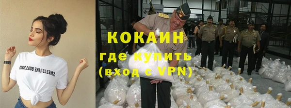 шишки Новозыбков