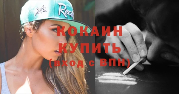 шишки Новозыбков