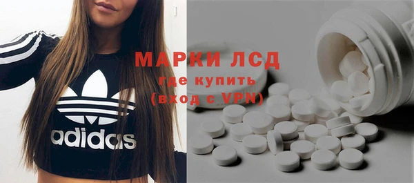 шишки Новозыбков