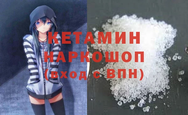 шишки Новозыбков