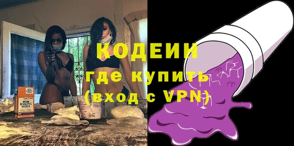шишки Новозыбков