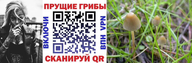 Псилоцибиновые грибы Magic Shrooms  Тарко-Сале 